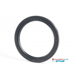 55x92x9mm Nitrile Rubber Rotary Shaft Oil Seal R23/TC With Garter Spring