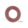 33x50x6mm Viton Rotary Shaft Oil Seal R23/TC Double Lip With Stainless Steel Spring