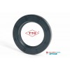 70x100x10mm Oil Seal TTO Nitrile Rubber Single Lip R21/SC With Garter Spring