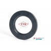 19x30x5mm Oil Seal TTO Nitrile Rubber Single Lip R21/SC With Garter Spring