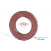 6x16x7mm Oil Seal TTO Fluoro Rubber Double Lip R23/TC With Stainless Steel Spring