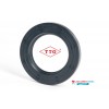 1.50x1.00x0.18 Inch Oil Seal TTO Nitrile Rubber Double Lip R23 TC With Garter Spring