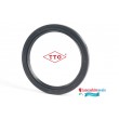 20x27x5mm Oil Seal TTO Nitrile Rubber Double Lip R23/TC With Garter Spring