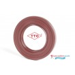 35x52x7mm Oil Seal TTO Viton Rubber Single Lip R21/SC With Stainless Steel Spring